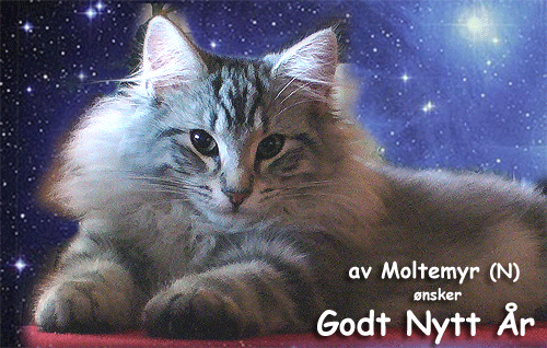 av Moltemyr (N)