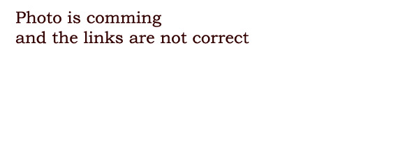 Evita and Espen's kittens 2001