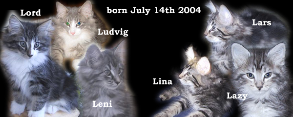 Raya's and Rilian's kitten's 2004